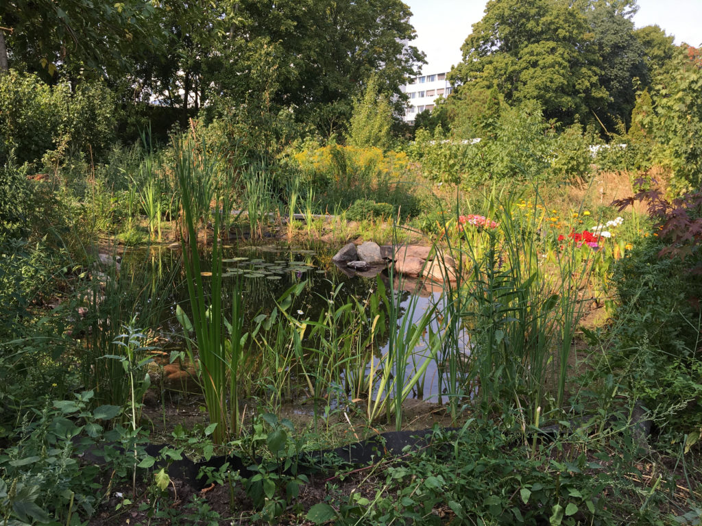 "Peace of Land" Permakultur-Waldgarten in Berlin