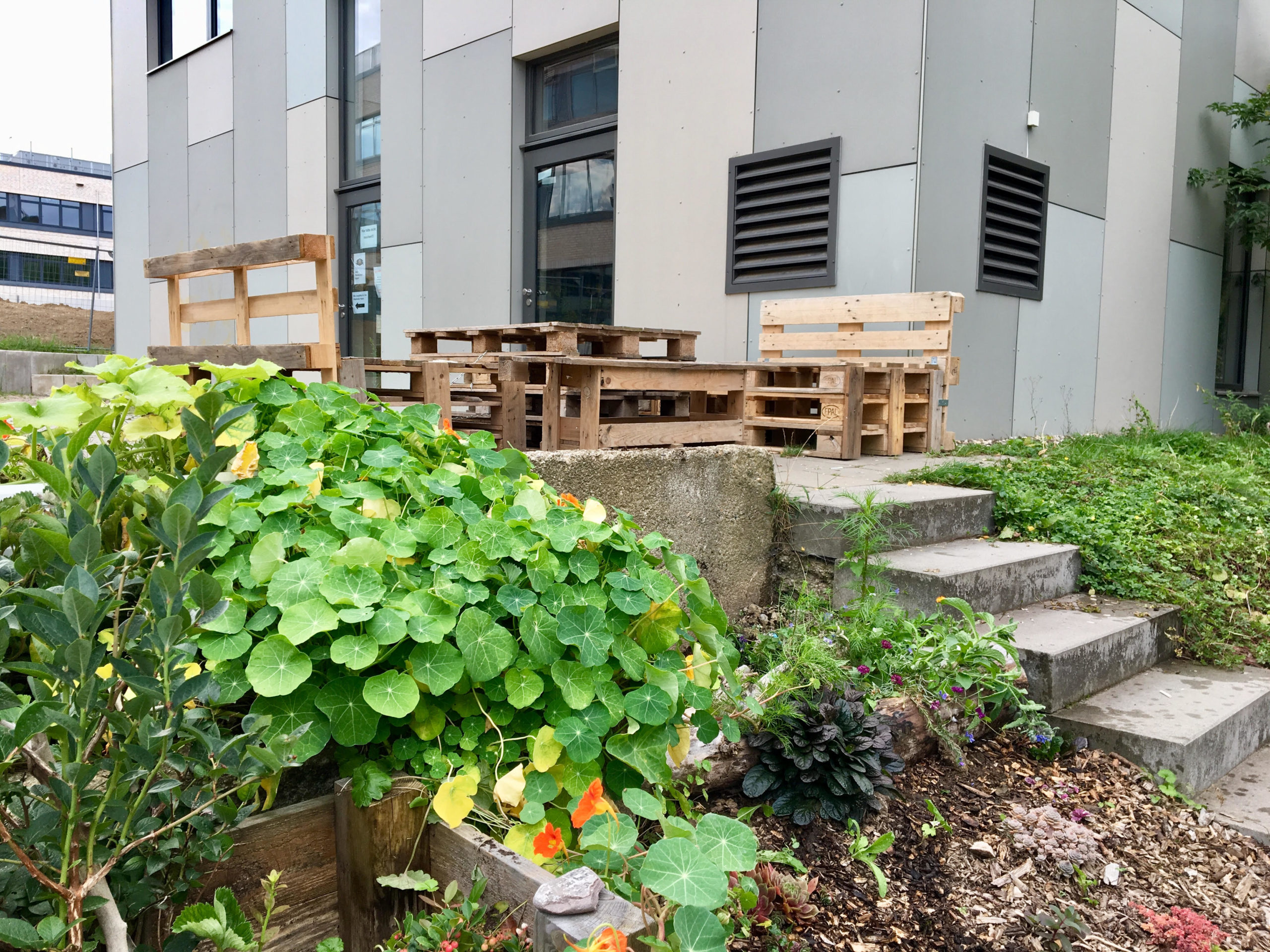 #meinessbaresKöln - Jugendzentrum Weiden: selbstgebaute Sitzgruppe und Hochbeete mit Kräutern, Beeren und anderen insektenfreundlichen Pflanzen