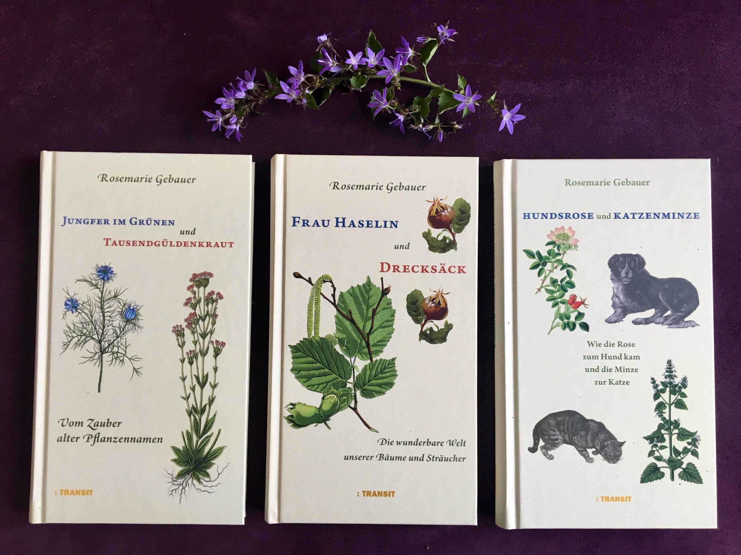 Bücher von Rosemarie Gebauer mit Glockenblumen