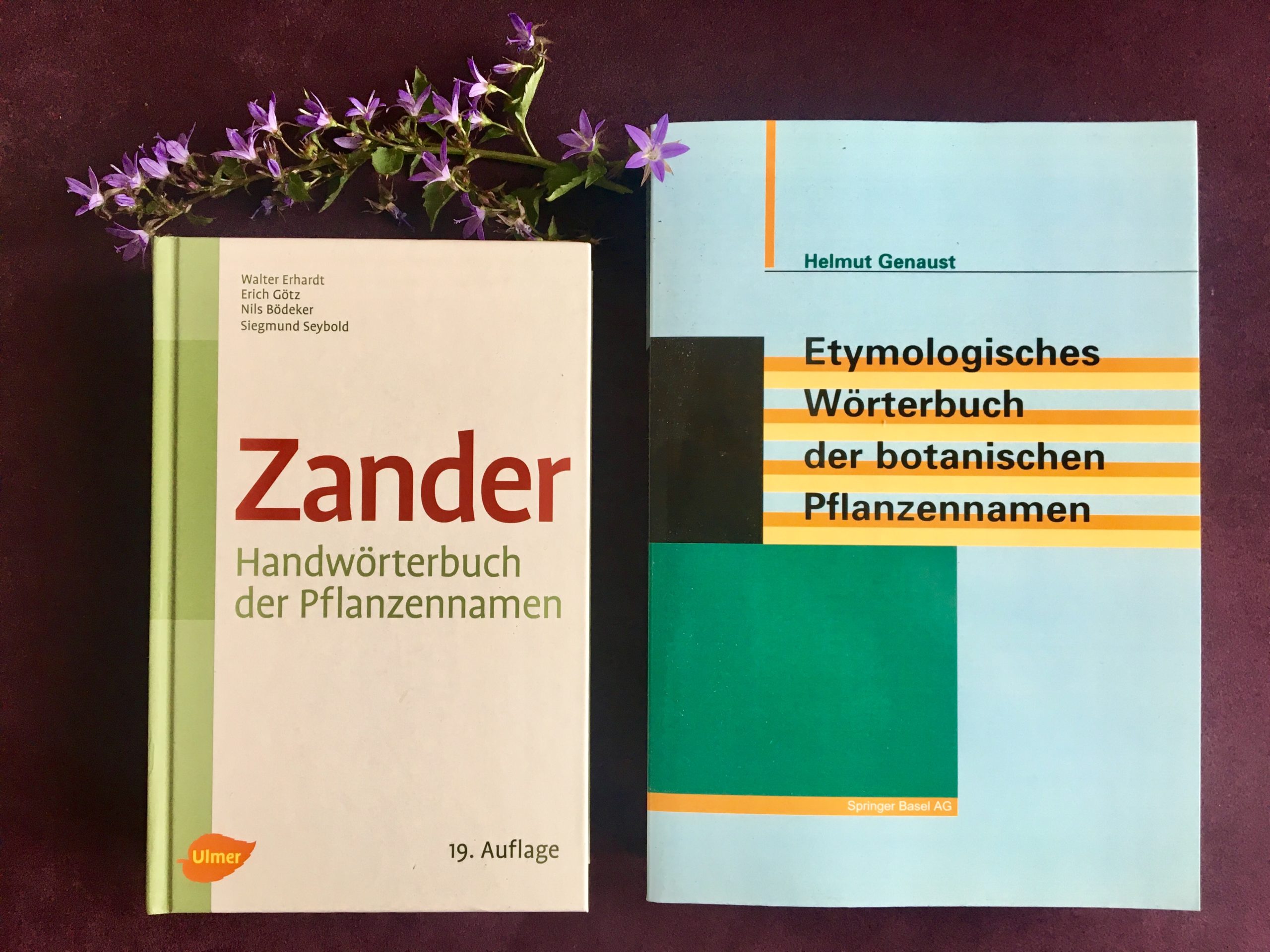 Wörterbücher für Pflanzennamen mit Glockenblumen