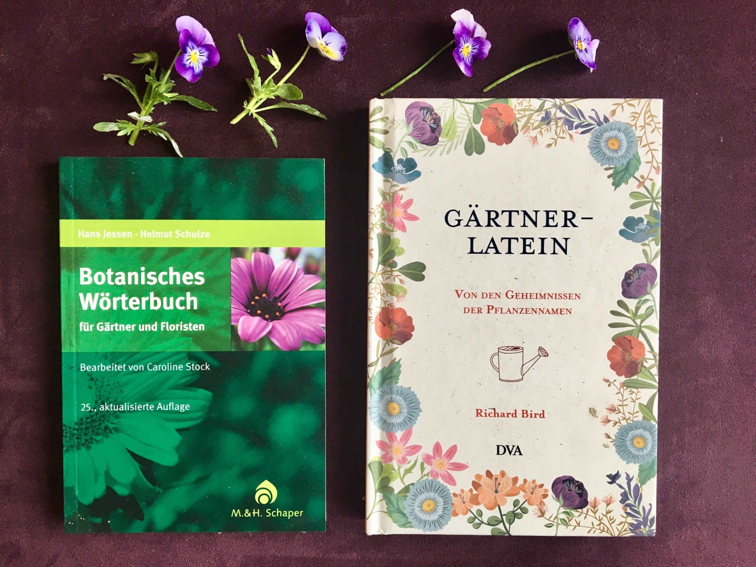 Hornveilchen und Bücher zu botanischen Pflanzennamen