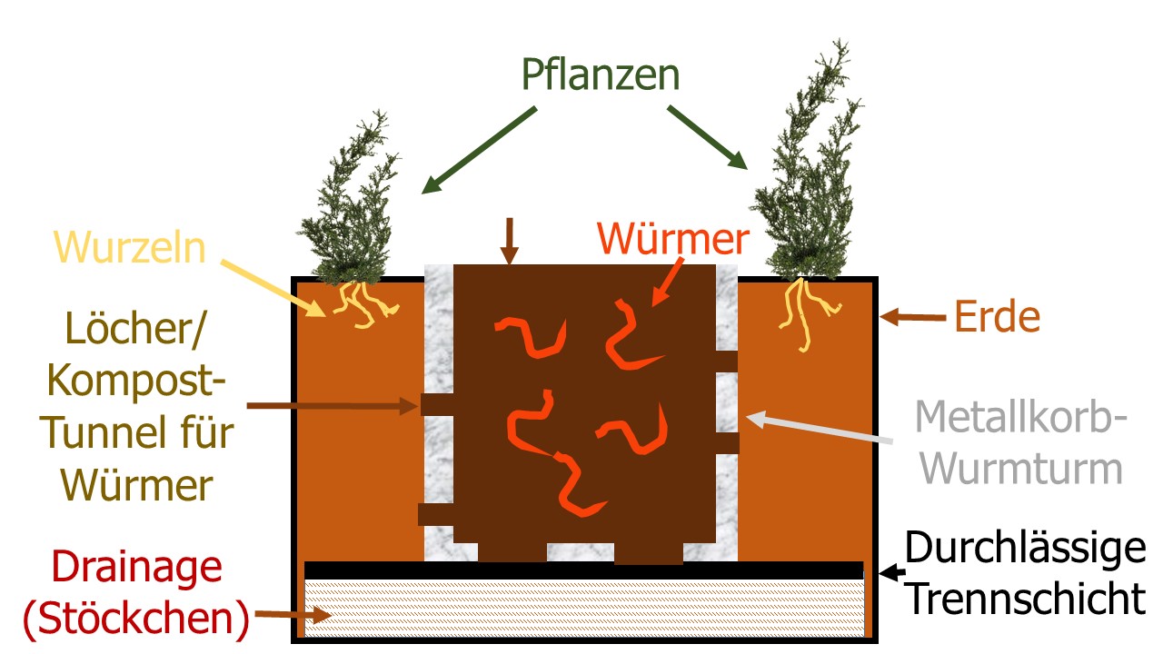 Die Korb-Variante der WuPf-Wurm-Pflanzen-Kiste