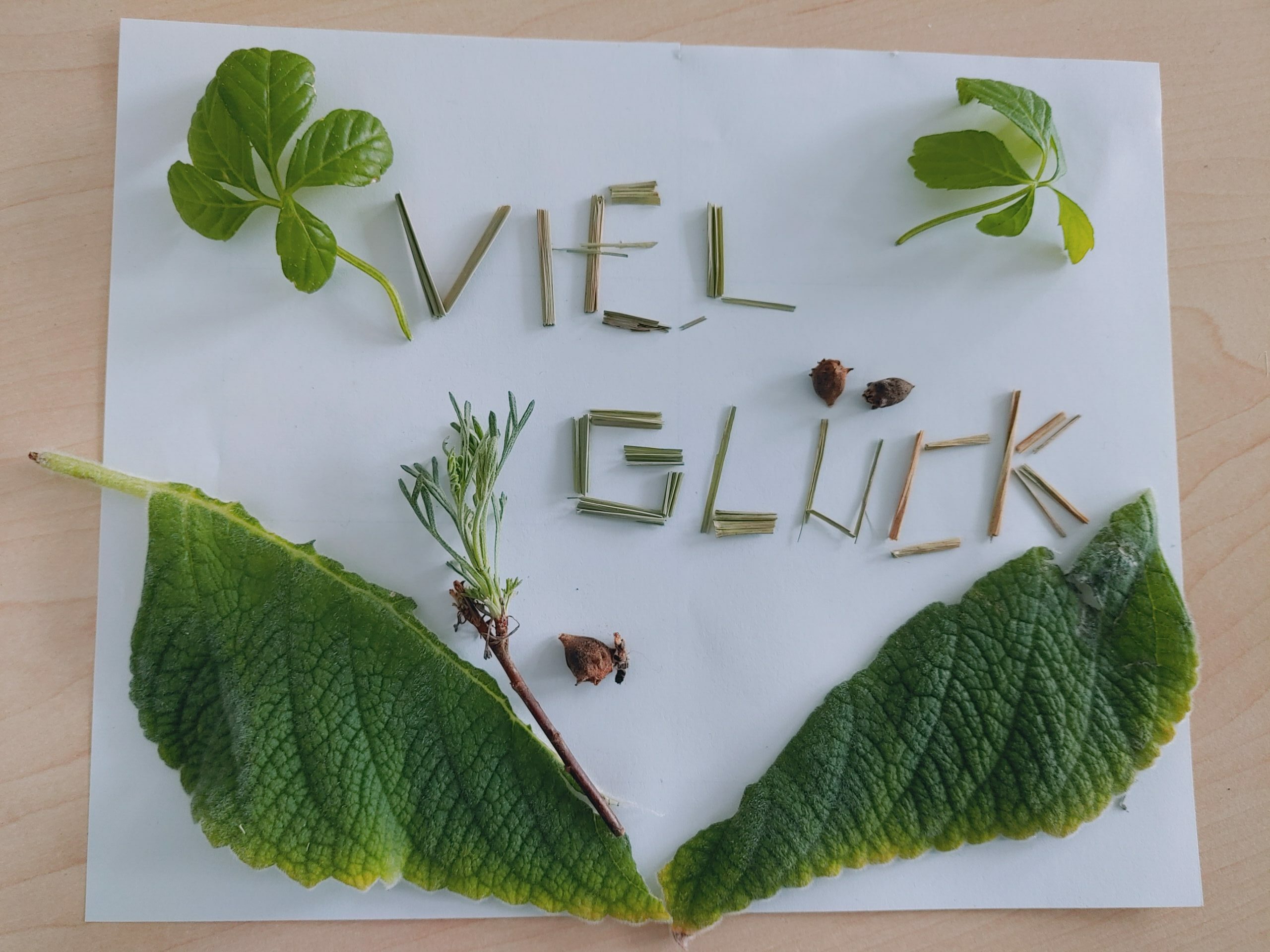 Grußkarte "Viel Glück" aus Naturmaterialien