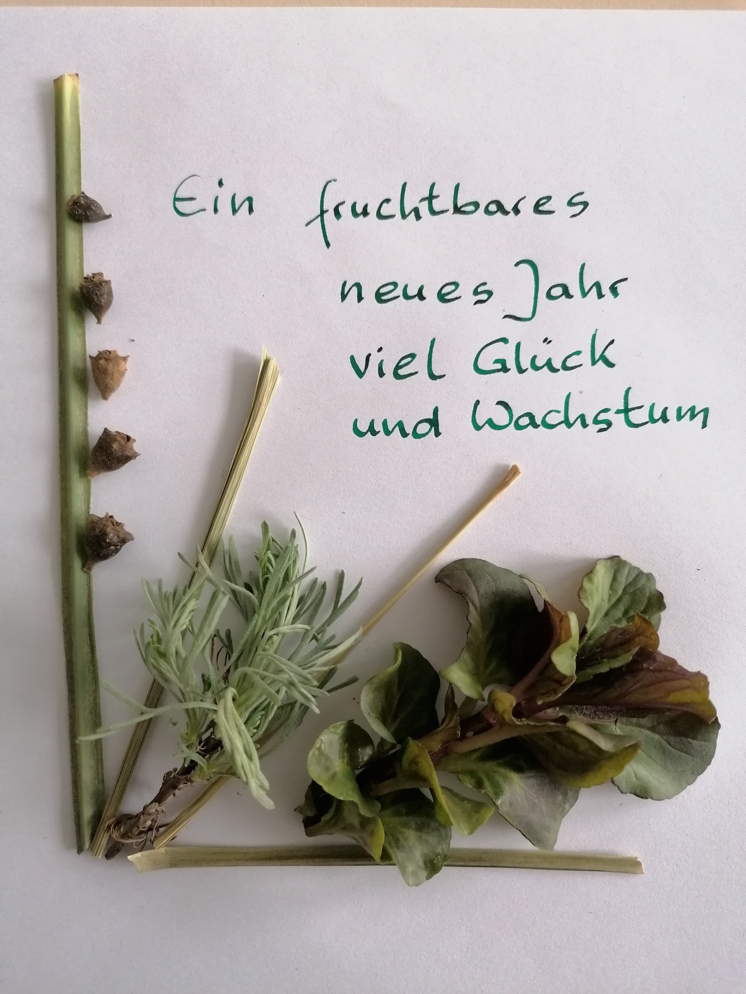 Grußkarte "fruchtbares Jahr" aus Naturmaterialien