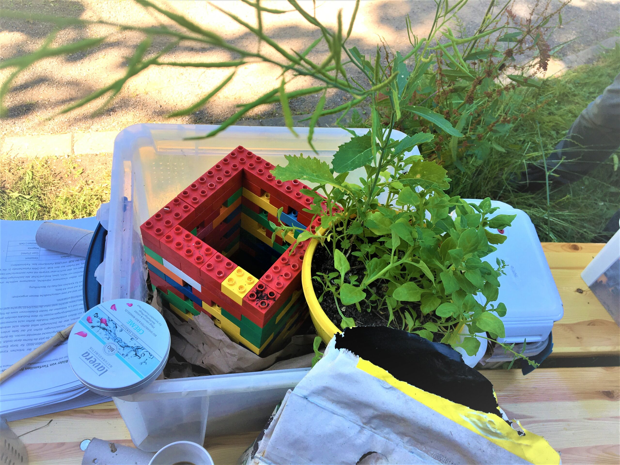 Demonstration der WuPf-Wurm-Pflanzen-Kiste aus dem Sprachspinat-Garten im MoMo-Modellgarten für Schulgärten