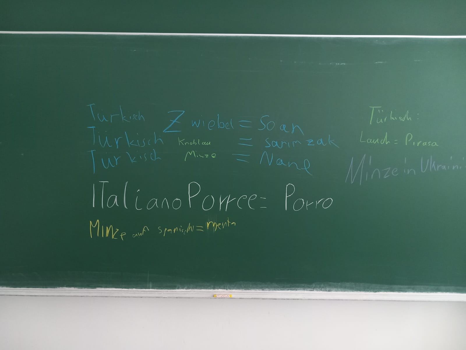Pflanzennamen in verschiedenen Sprachen, geschrieben von den Kindern beim Kinderuni-Event