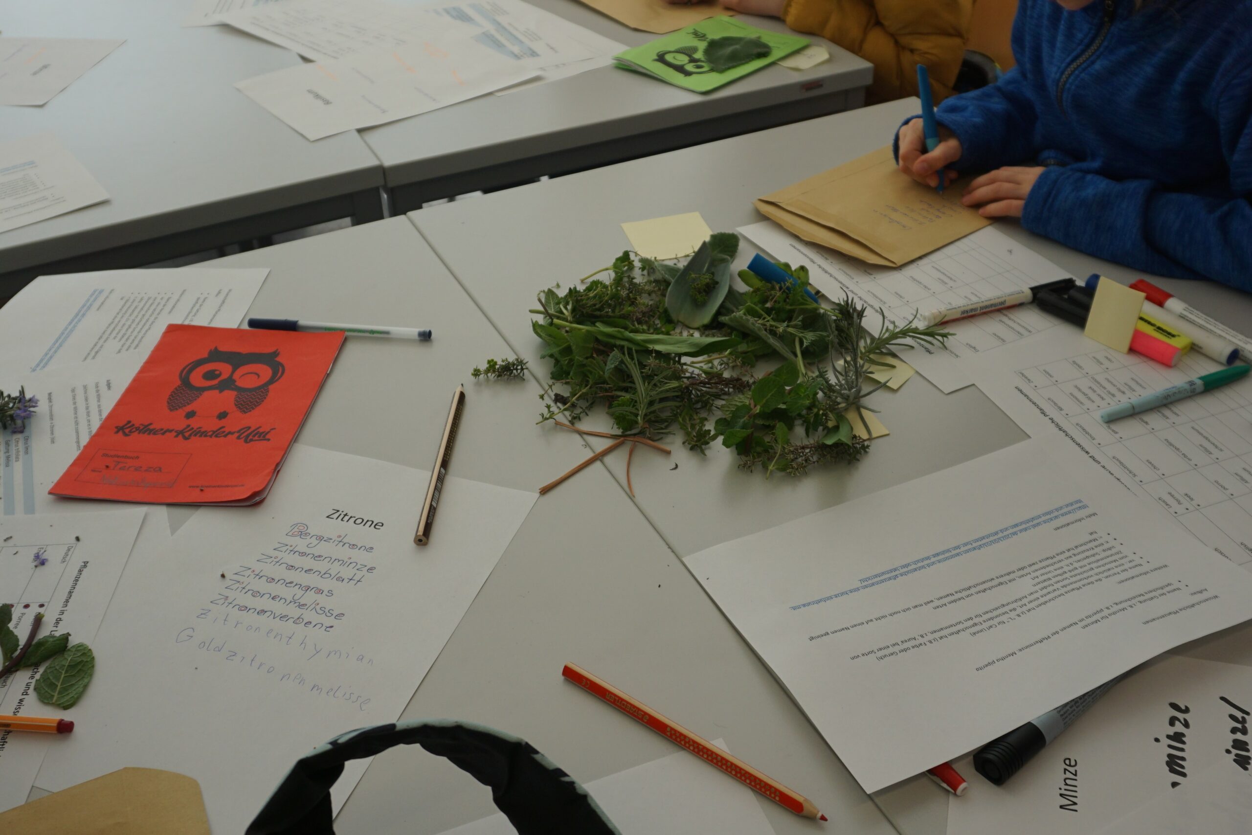 Kräuter und Materialien beim Kinderuni-Event