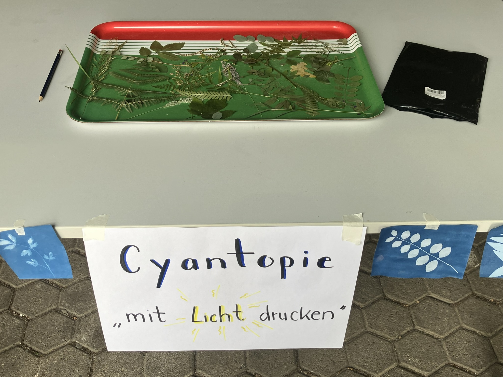 Cyanotypie-Stand beim BNE-Aktionstag des ZfL Köln