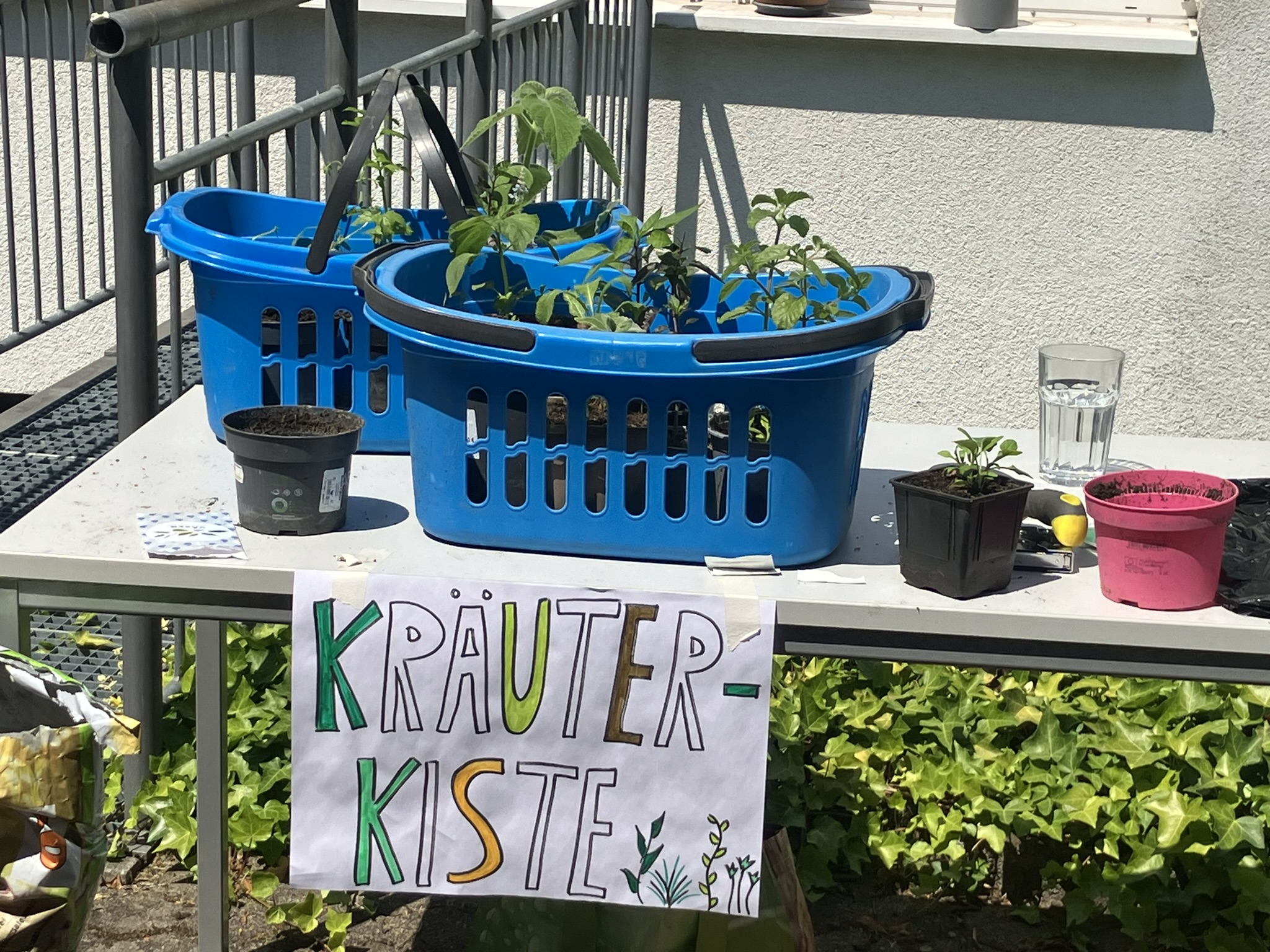 Kräuterkistenstation beim BNE-Aktionstag im Kölner ZfL-Garten