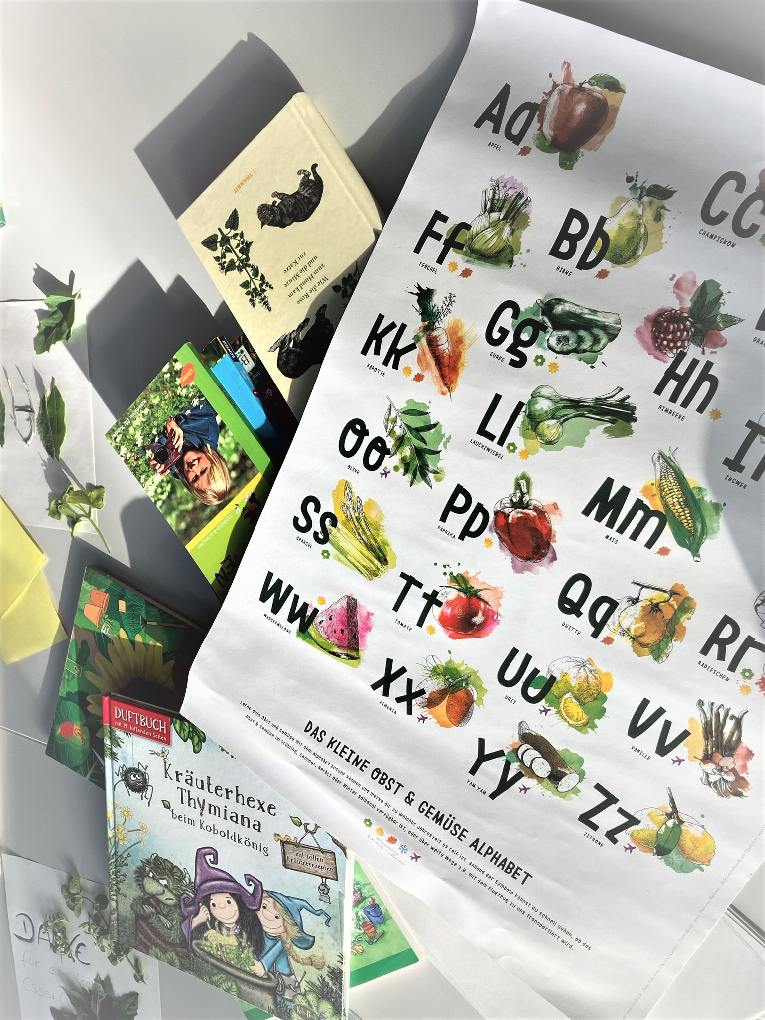 Bücher und Gemüsealphabet-Plakat für den Lesementoring-Workshop