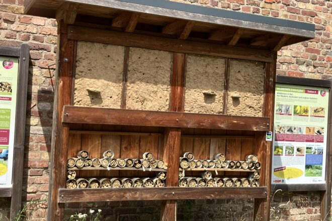 Insektennisthilfe Gut Leidenhausen bei Köln