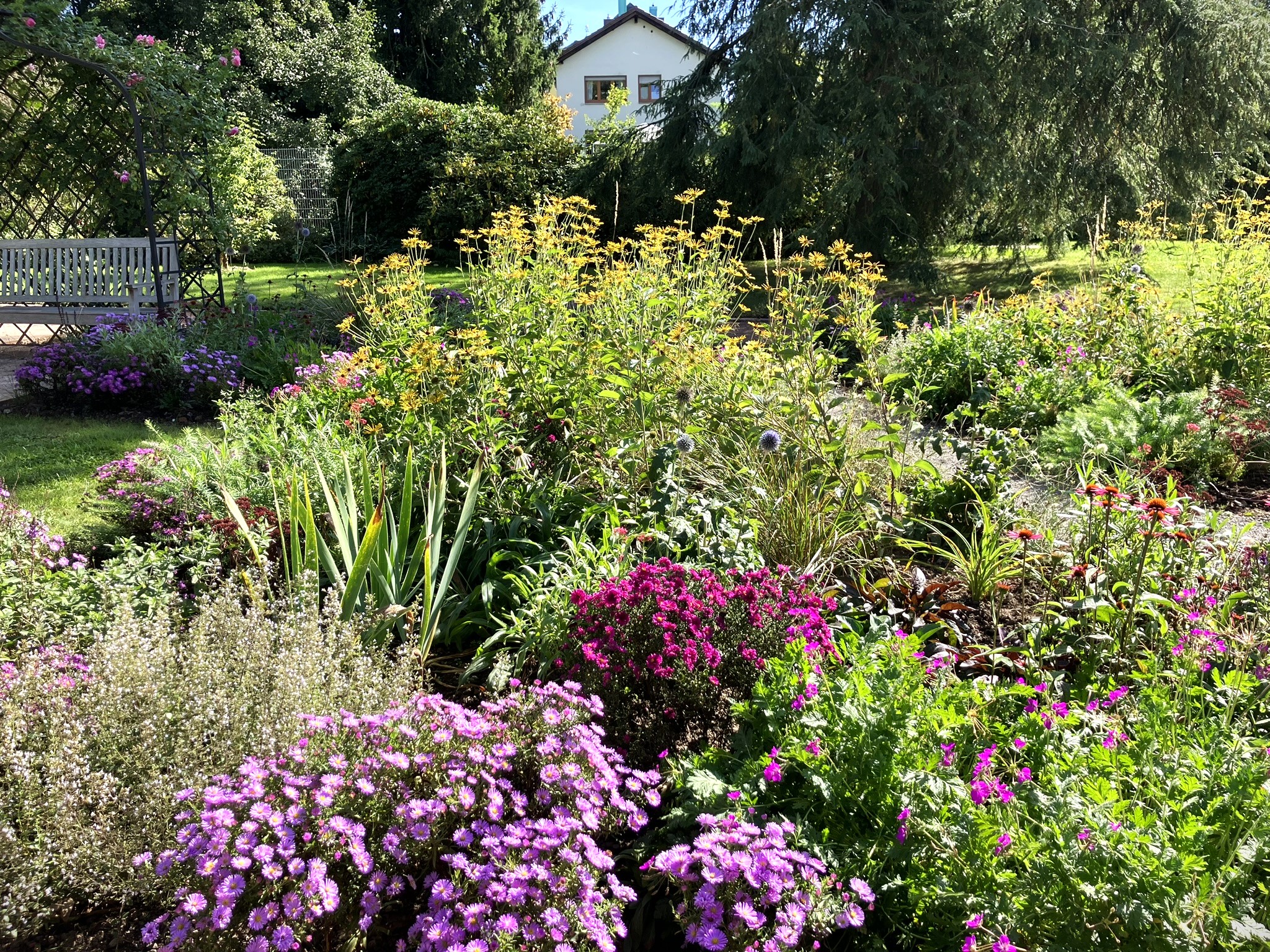 Ein Staudenbeet im Rosengarten Zweibrücken - hier gibt es einiges zu bestimmen