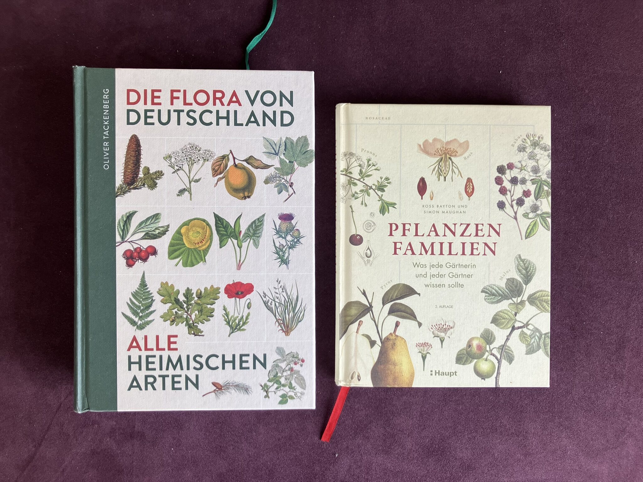 Bücher zu Pflanzenfamilien und zugehörigen Pflanzenarten