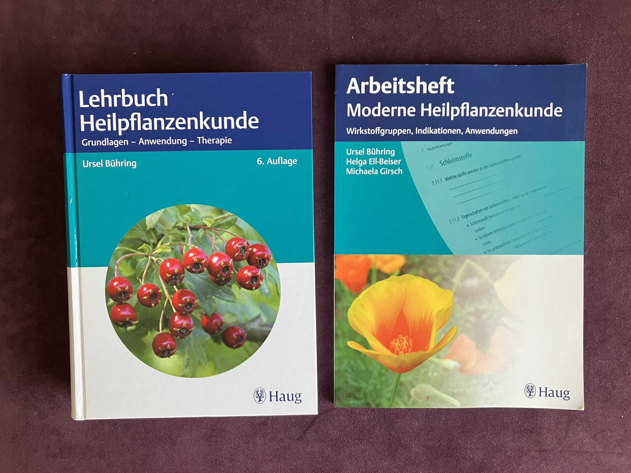 Lehrbuch und Arbeitsheft zur Heilpflanzenkunde