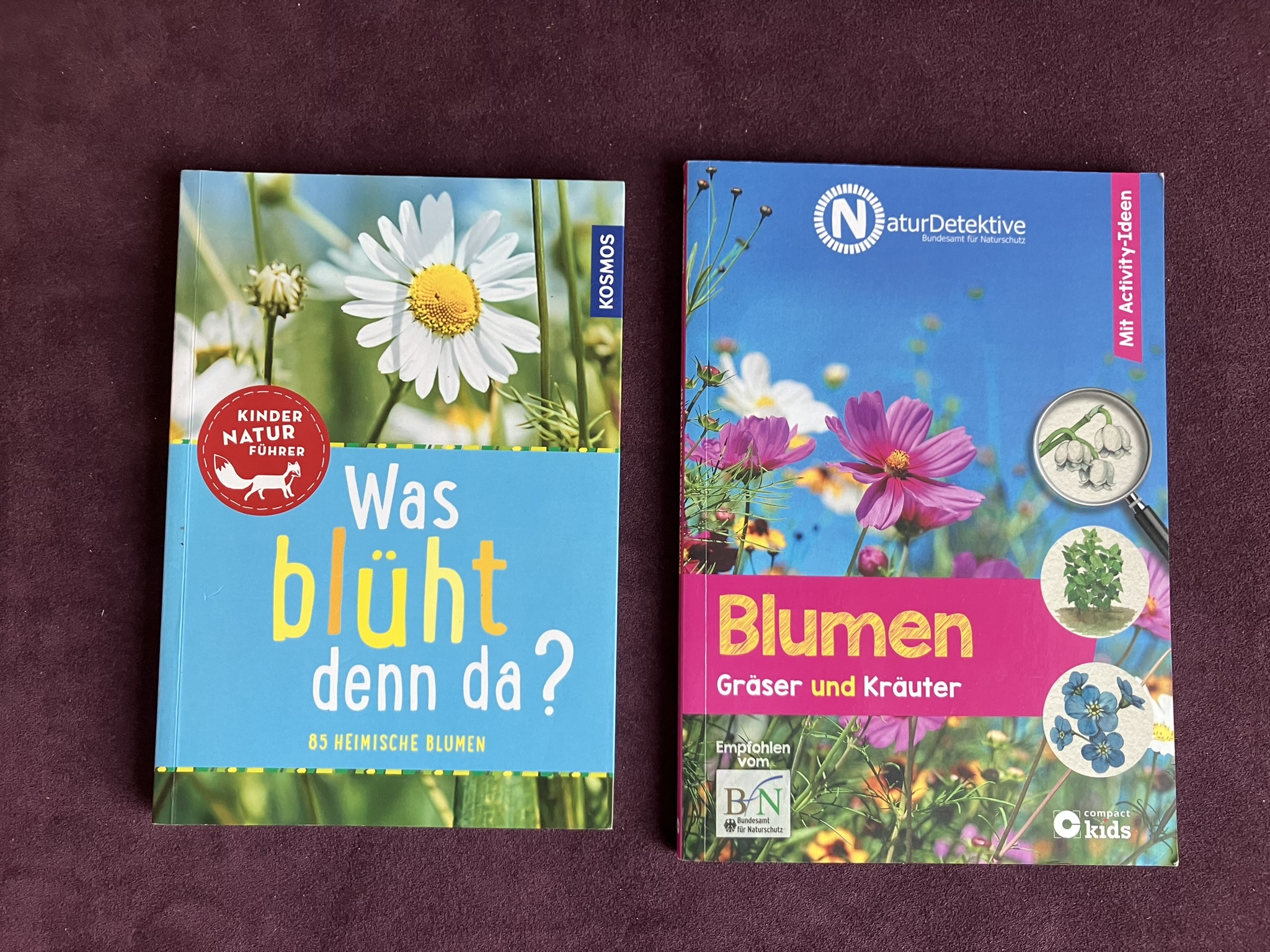 Bildbasierte Bestimmungsbücher für Kinder