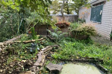 Ein Blick in den Garten des Kölner Zentrums für Lehrkraftbildung (ZfL) der Universität zu Köln
