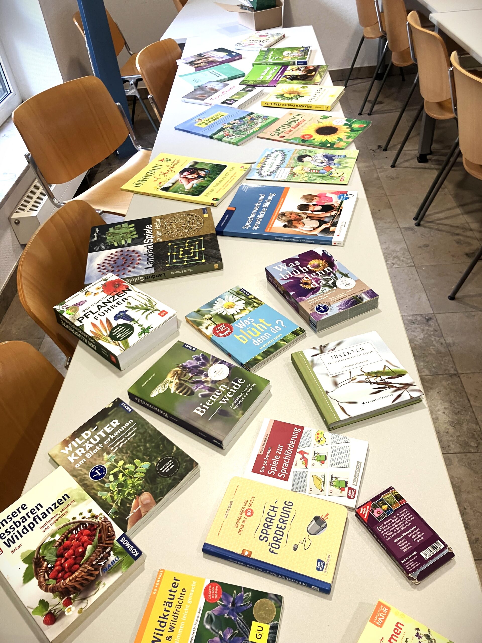 Büchertisch beim Lernwerkstatt-Workshop