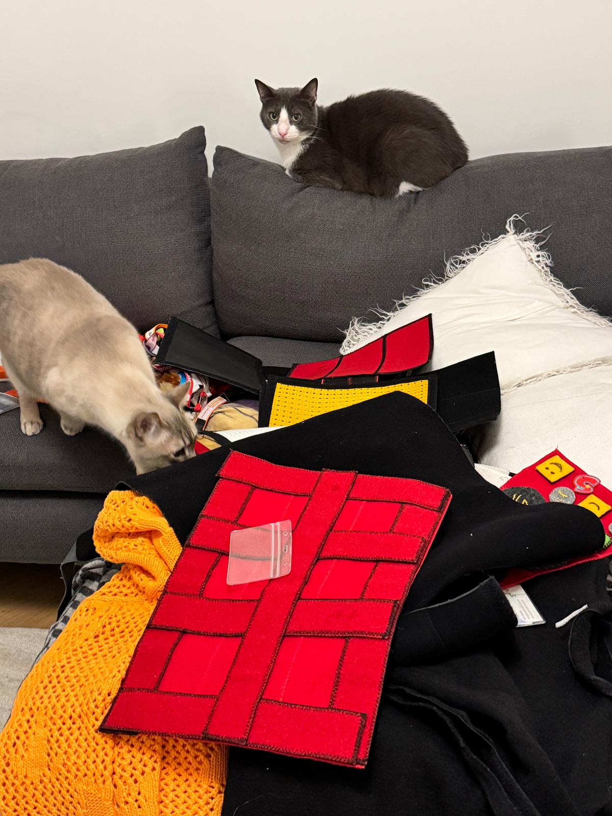 Mandana Seyfeddinipurs Katzen begutachten das Sprachspinat-Toolkit