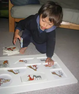 Die Puzzle-Task (Eisenbeiß 2009, 2010, 2011)