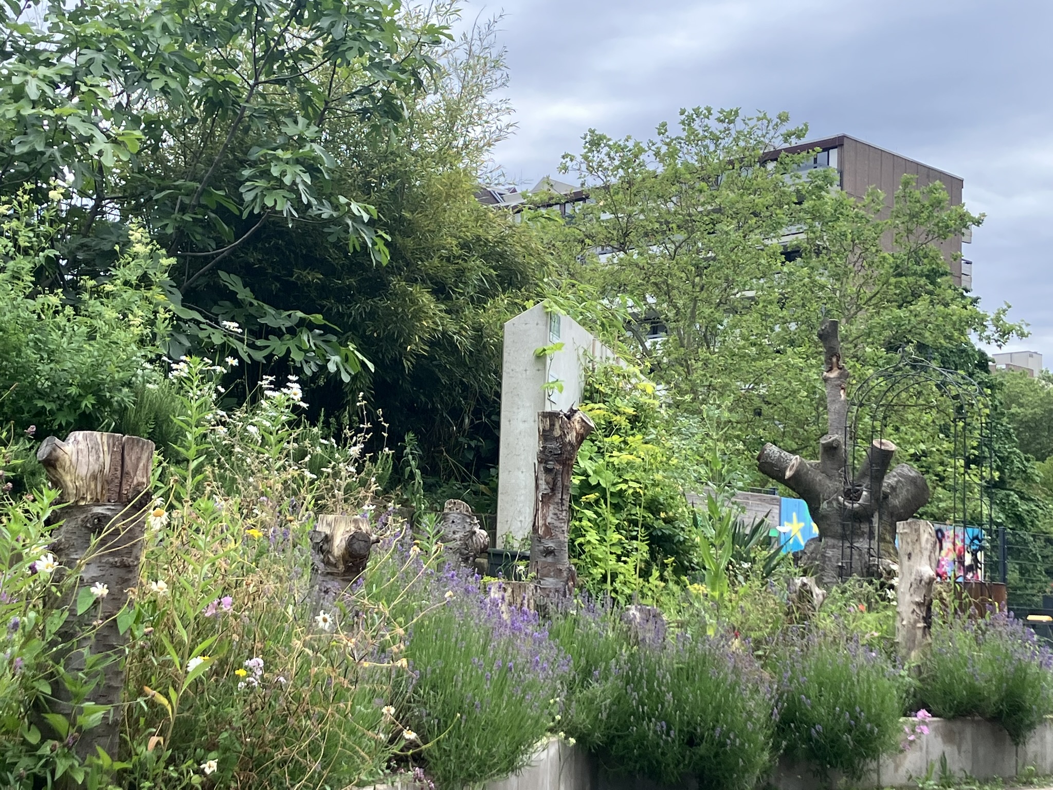Ein Teil des Sprach-Naschgartens am Jugendzentrum Köln Weiden: Lavendel, Feigen, Bambus zum Stöckeschneiden, Wild- und Küchenkräuter