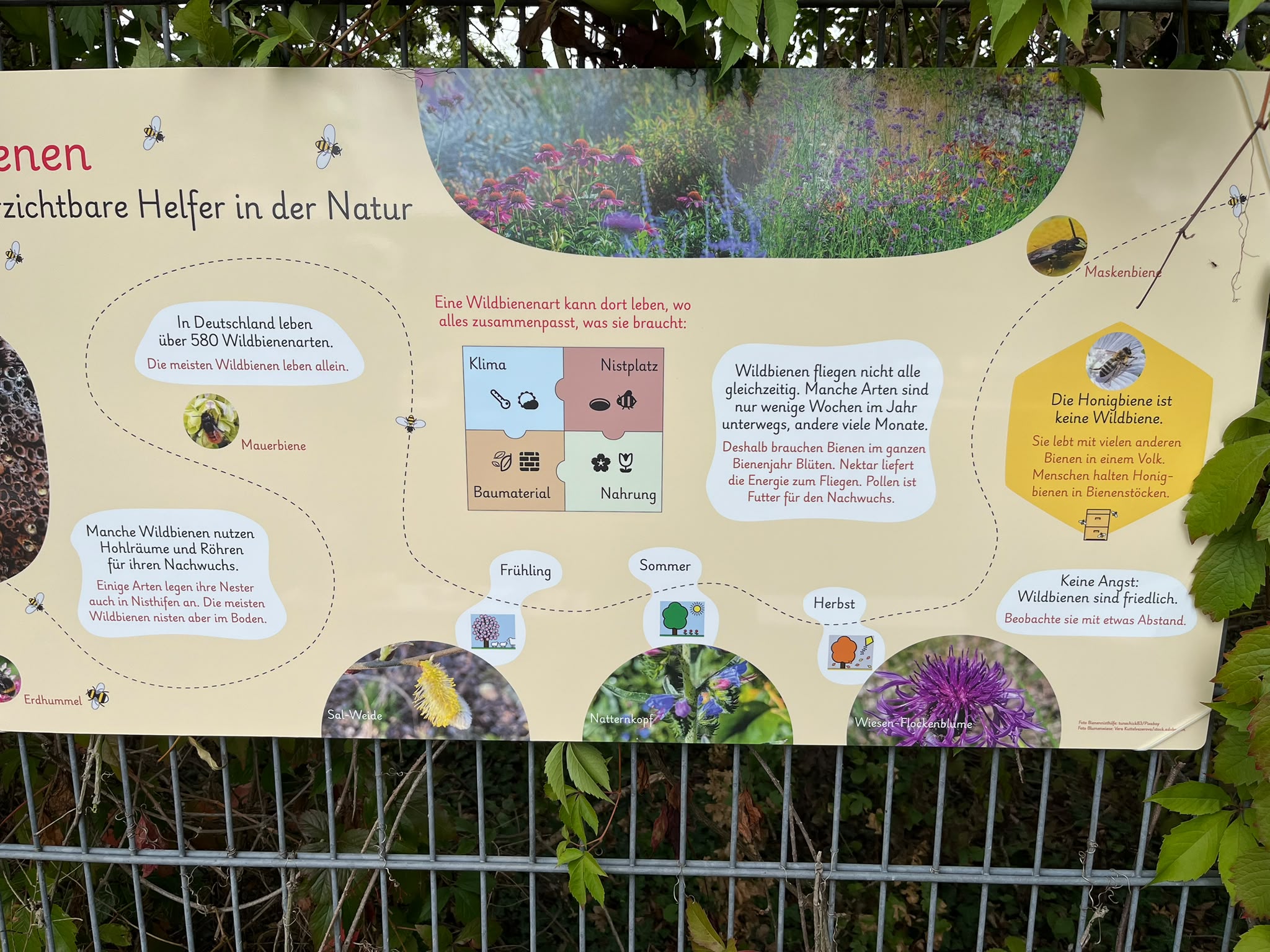 Info-Tafel zu Bienen im Sprach-Naschgarten in Großenbaum