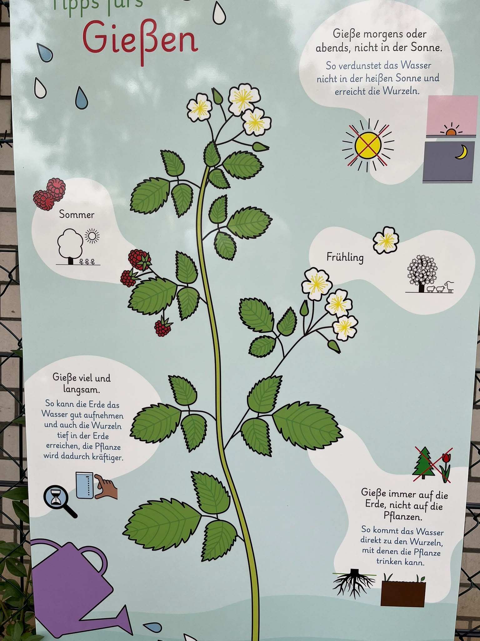 Schautafel mit Gießtipps
